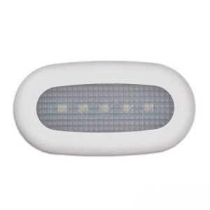 LED Courtesy Light